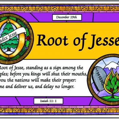 03 root of jesse