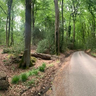2 june  a breath of fresh air
