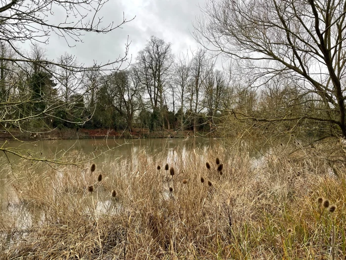 20211231 thames path liz underhill