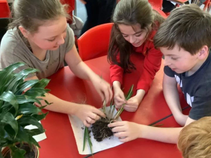 328981b4dbc748c2aeb704e3b4545d05