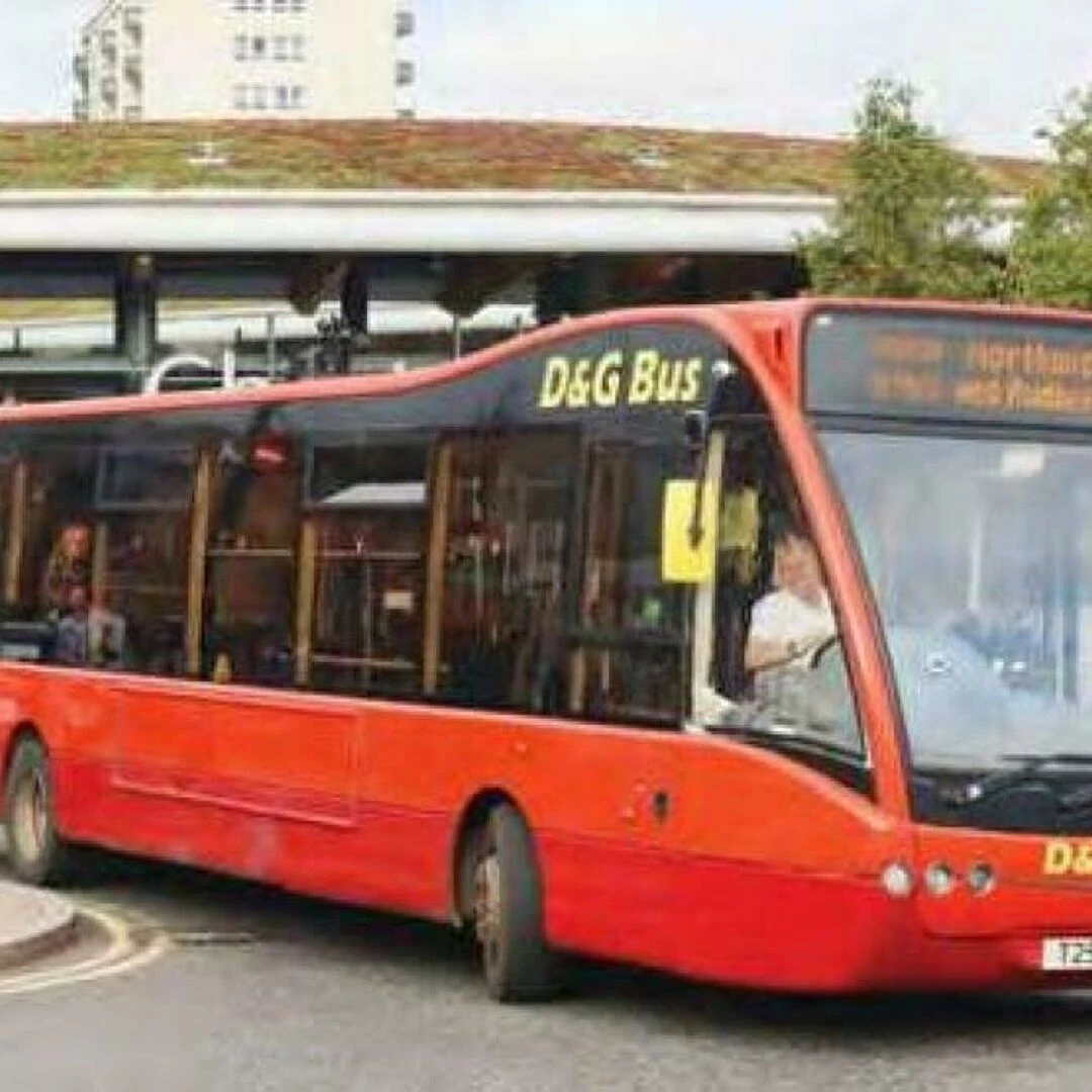 82 bus
