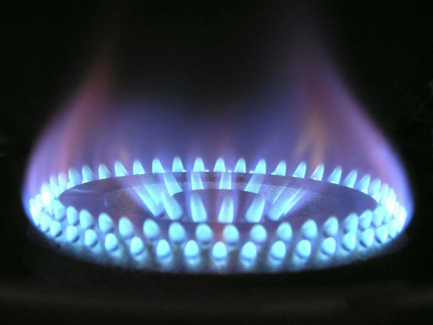 a detailed view of a blue flame on a gas stove illustrating heat and warmth