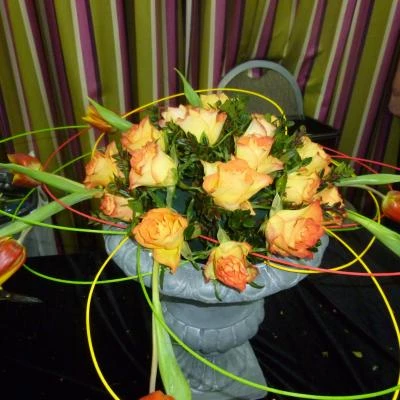 a h  t flower club march 2017 p1030204