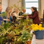 a plant stall also