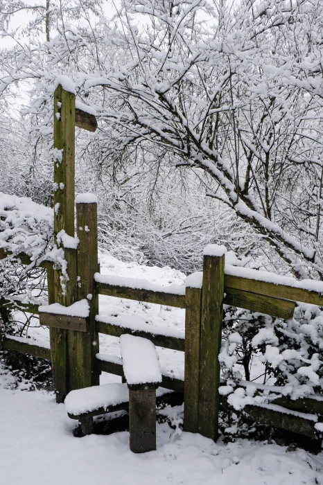 a winter walk