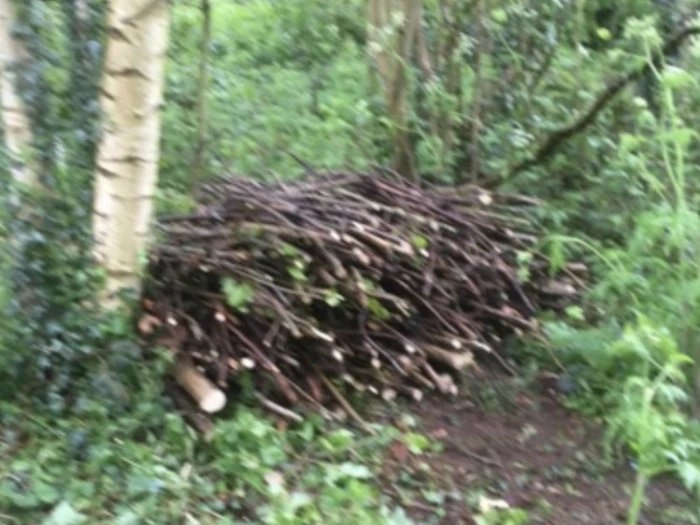 adas log pile