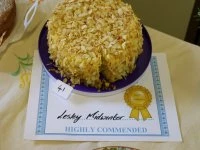 adult runner up