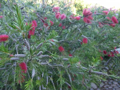 ahfc ganden july 2021 p1040029316711