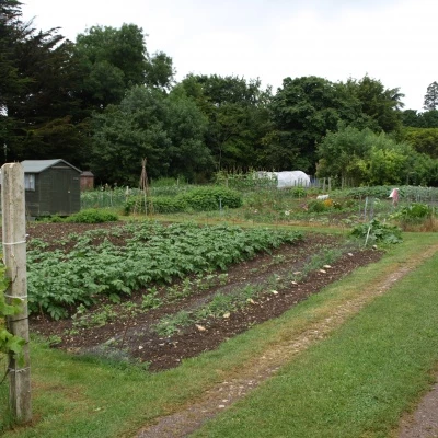 allotments 1 during open gardens 12th june 2016