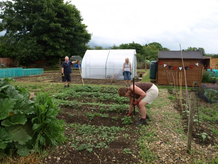 allotments 5 during open gardens 12th june 2016
