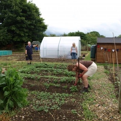 allotments 5 during open gardens 12th june 2016