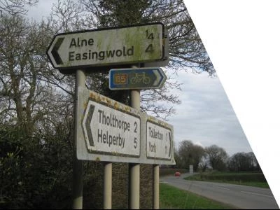 alne sign