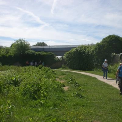 along the wey