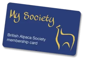 alpaca society badge