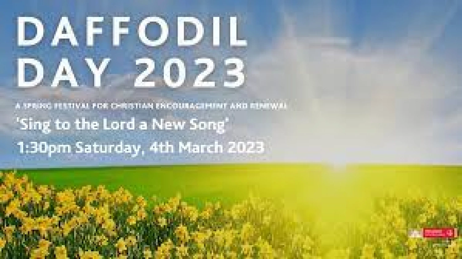 amc daffodil day 2023