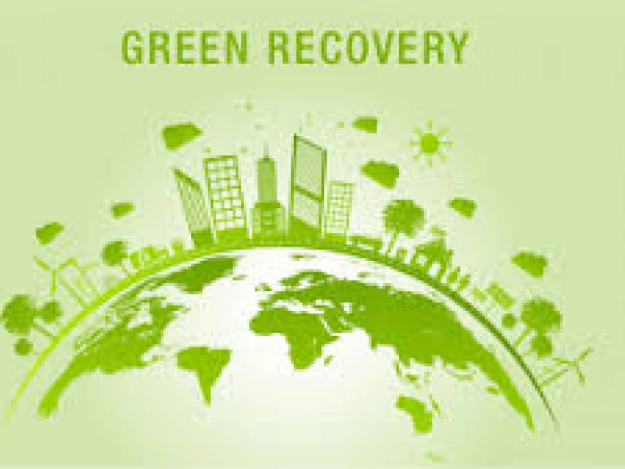 amc green recovery