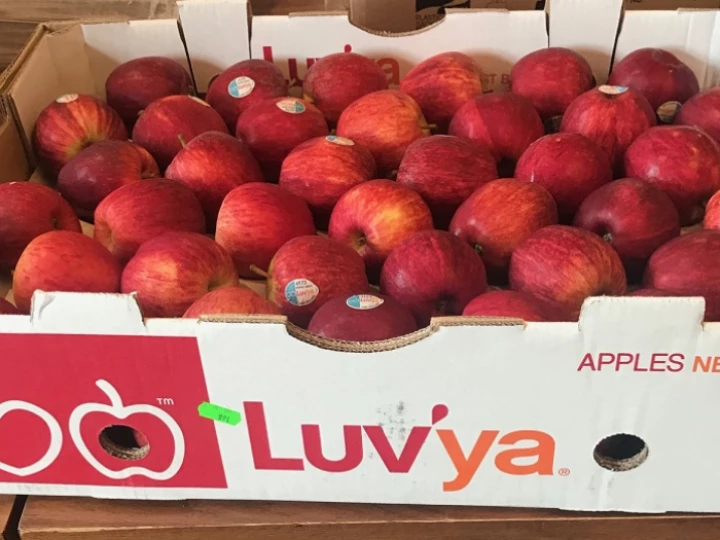 apples