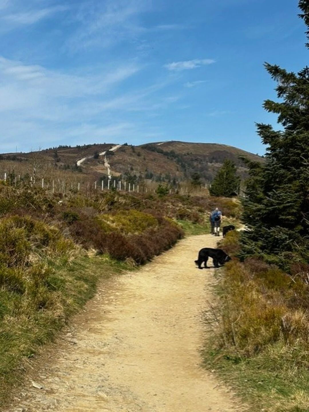ars walk