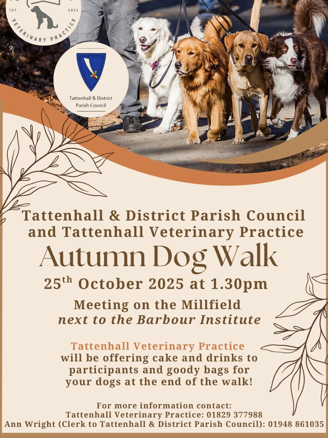 autumn dog walk
