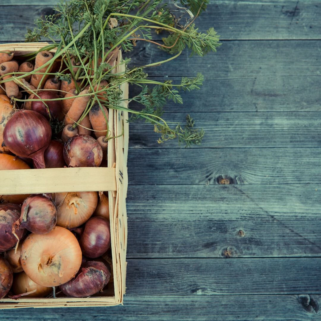 basket of fresh onions and carrots on a rustic wooden surface showcasing a farmtotable harvest
