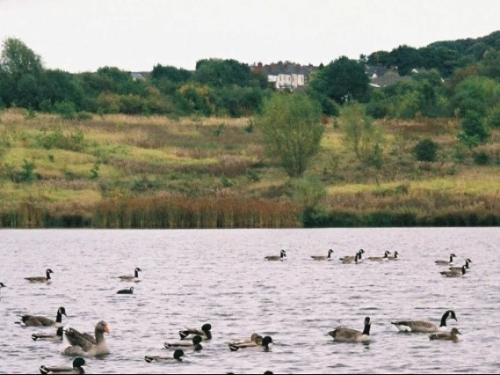 bateswood park
