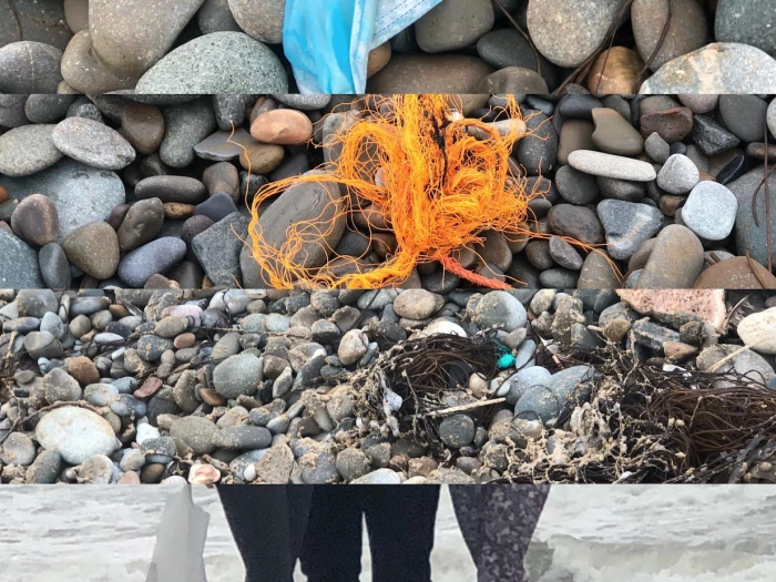 beach clean by daisy brazier