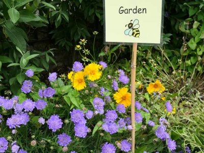 bee garden