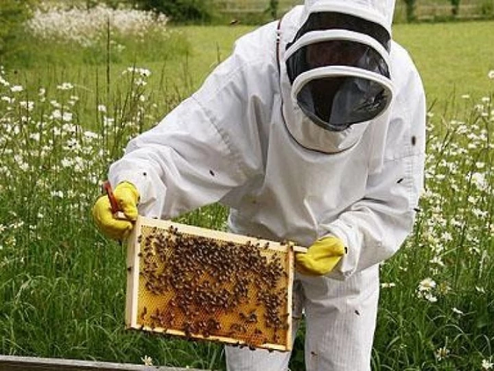 beekeprs