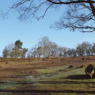 bickerton hill  before restoration