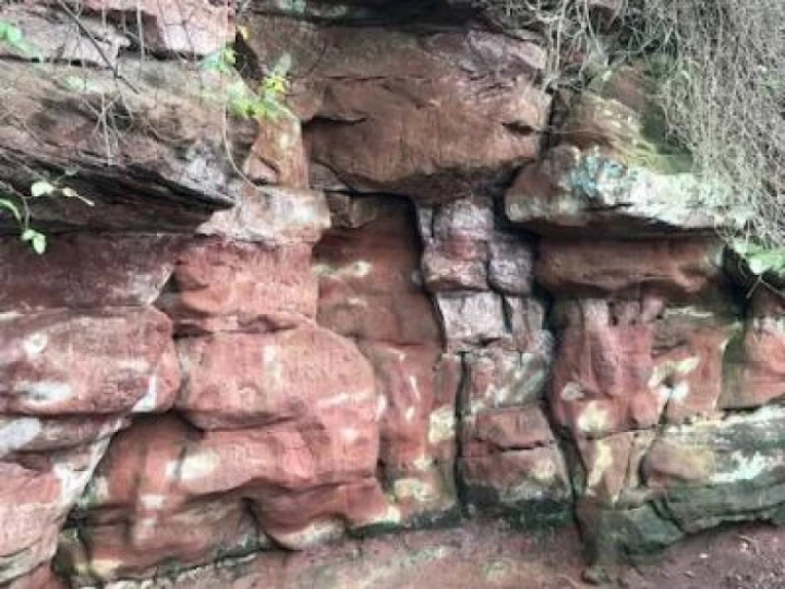 bickertongeologywalks418486