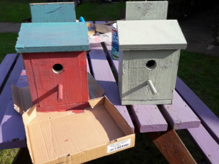 birdboxes
