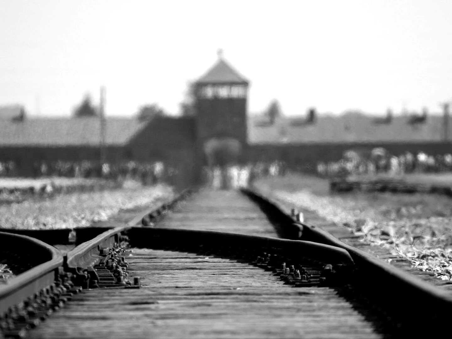 black and white image of auschwitz birkenau railway tracks symbolizing wwii history