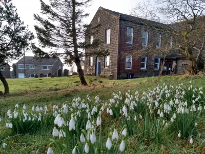blackshaw head spring