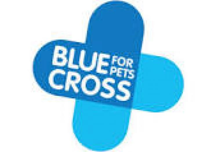 blue cross