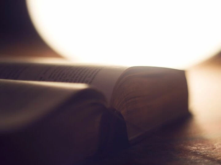 Bible, blur, book, close up, open, open book, open bible, read, reading, bible reading, bible study, study, pages, paper, knowledge, wisdom, learning, bible, bible, bible, bible, bible, book