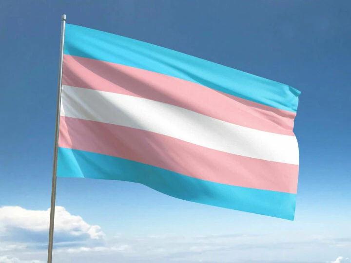 Trans Flag