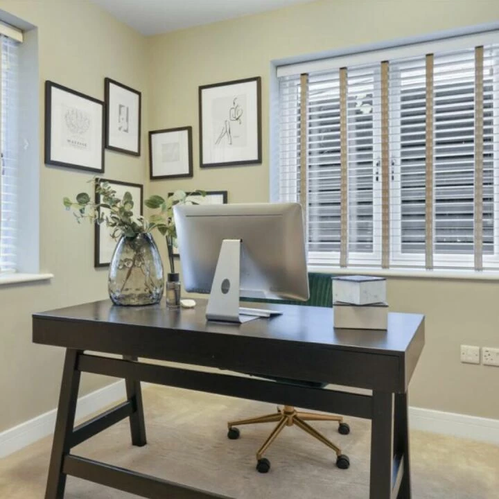 Plot 5  Study 1
