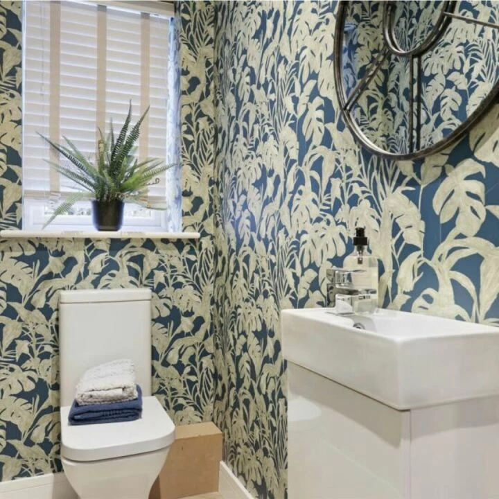 Plot 5 Wc