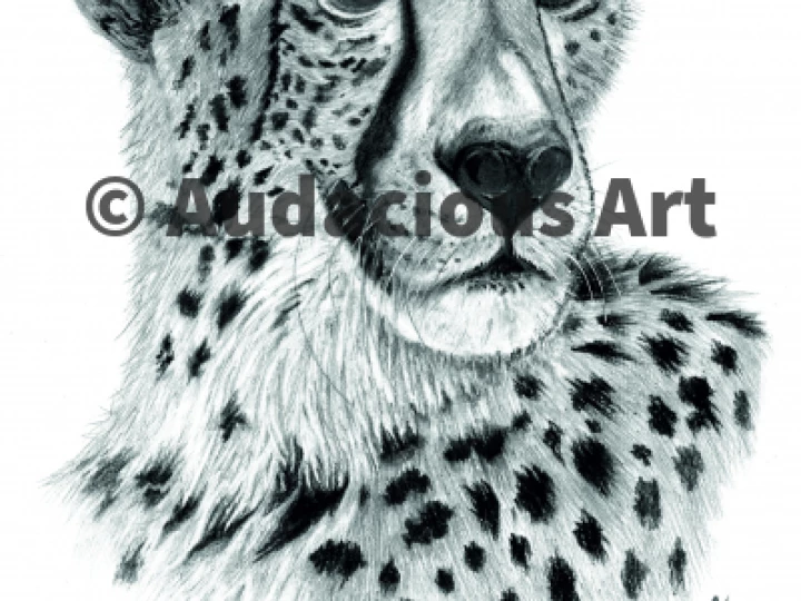 cheetah  final