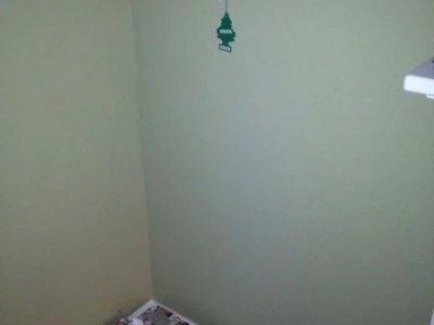 naff christmas tree