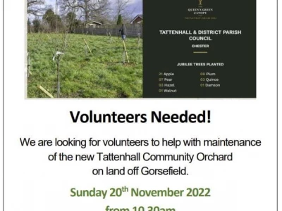 Community Orchard