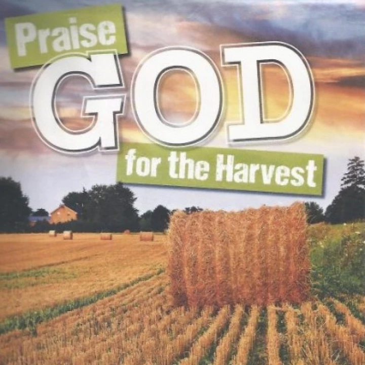 Harvest '19