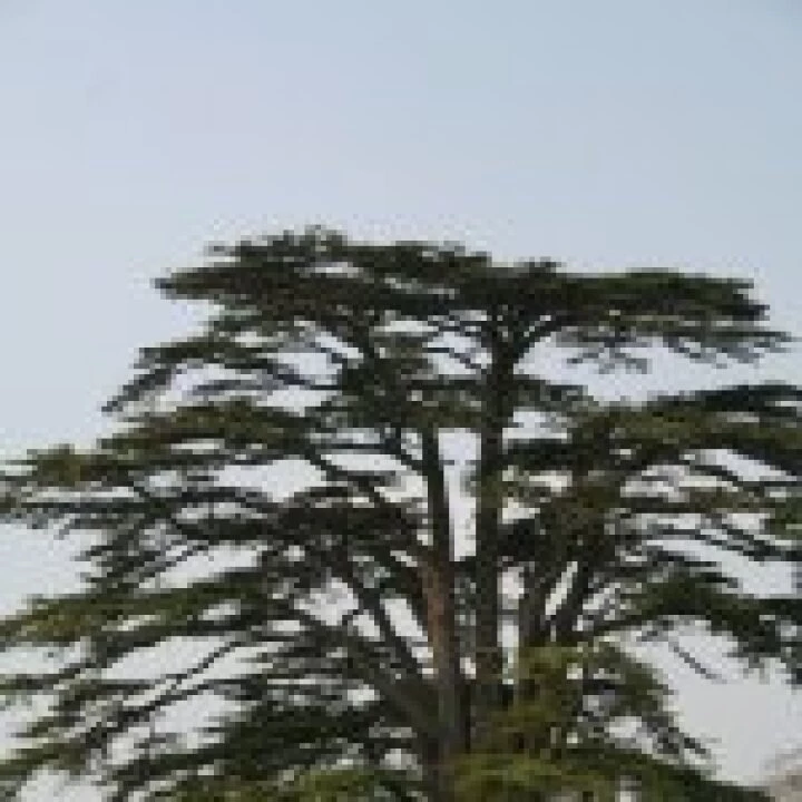 20060510 0052