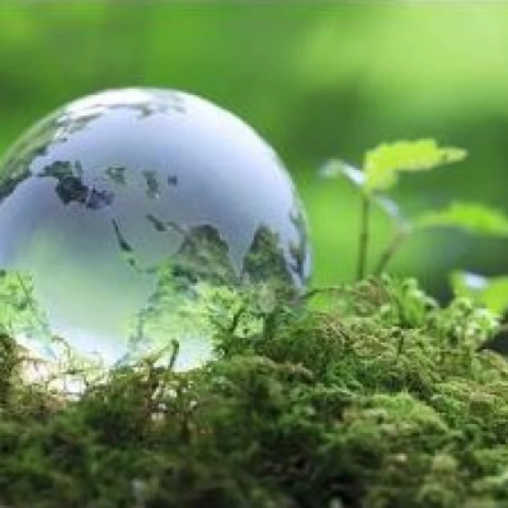 Eco Church