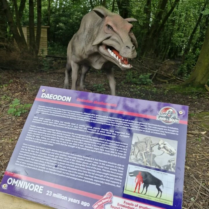 Hoozoo Dibond Signs