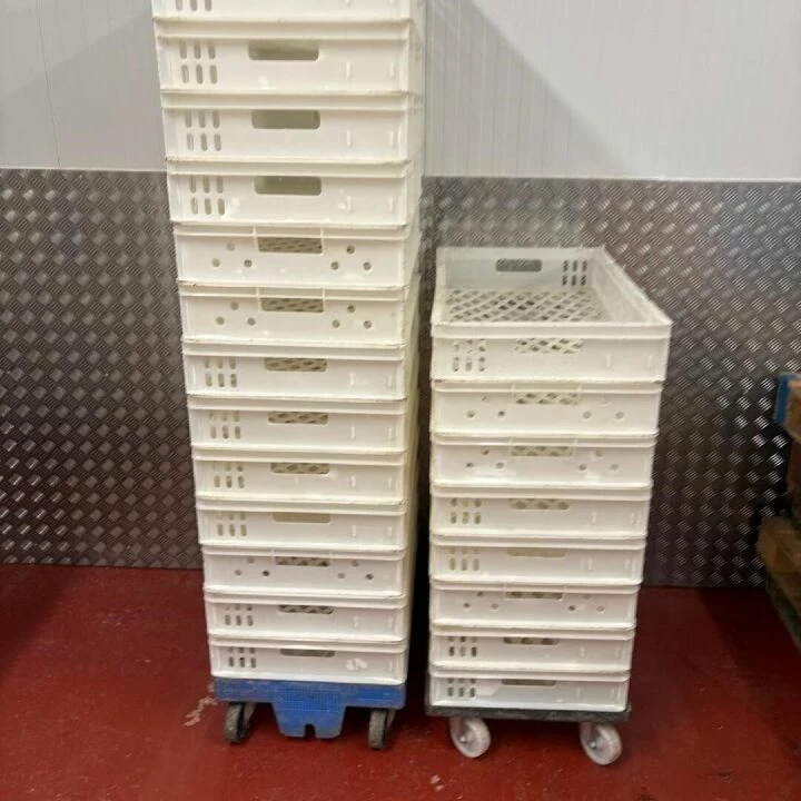 Bak Tray 4