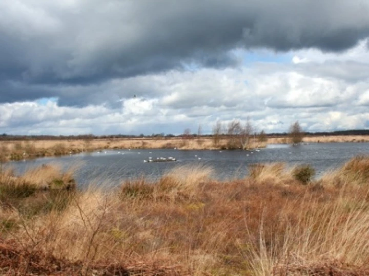 Lake_on_Whixall_Moss_-_geograph-org-uk_-_762733 (1) – Copy