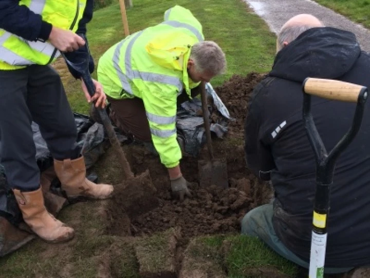 Tree Planting