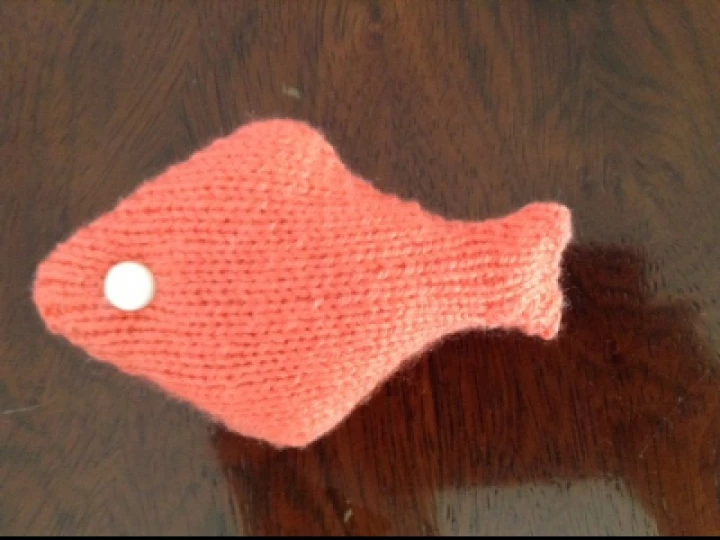 Joys Fish