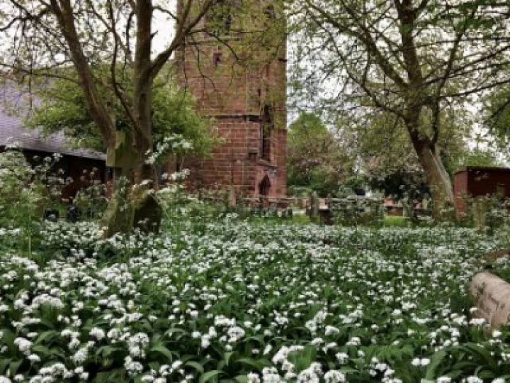 churchyard5